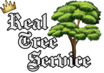 Real Tree Service