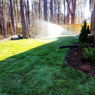 sod and lawn installation service